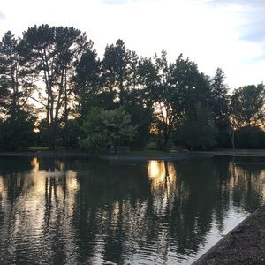 Meet your Posher, Abbey